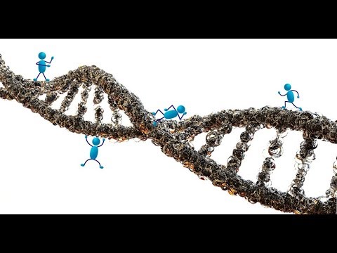 Kdo řídí vaše geny - seznamte se s epigenetikou