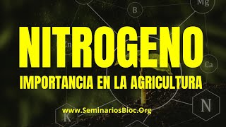 Nitrógeno (N) Importancia y Función En La Agricultura - Seminarios Bioc