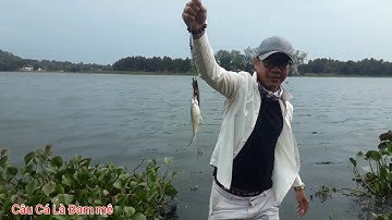 Đi Câu Cá Rô Phi,  Mè Vinh, Cùng Fan Hâm Mộ ở Long Khánh | ĐMCC #14