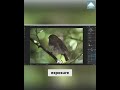 Master ON1 Photo RAW: Unlock Stunning Effects with Tone Enhancer! #shorts