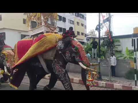 Shimoga dasara news | ಶಿವಮೊಗ್ಗ ದಸರಾ | ಅಂಬಾರಿ ಹೊತ್ತ ಸೋಮಣ್ಣ ಆನೆಯ ರೌದ್ರಾವತಾರ! #shimoga #shivamogga