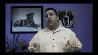 Groomer Has It - Judge Joey Villani