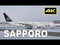 [4K] Winter plane spotting at Sapporo New Chitose Airport 2020 - 2021 / 新千歳空港 JAL ANA