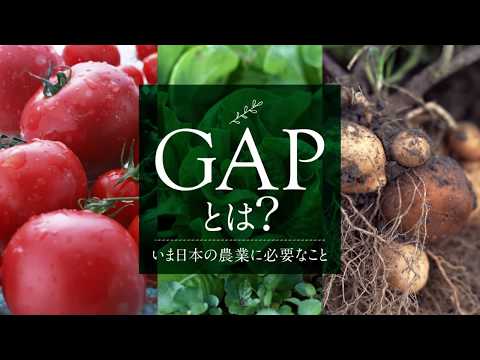 GAPとは？－今の日本の農業に必要なこと－