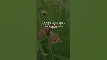 وَلَمّا رَأَى المُؤمِنونَ الأَحزابَ  محمد صديق المنشاوي  سورة الأحزاب