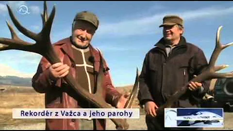 Kde žije jelen?