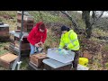 Futterkranzproben ziehen - 12.12.21 - Live von Pias Bienenstand