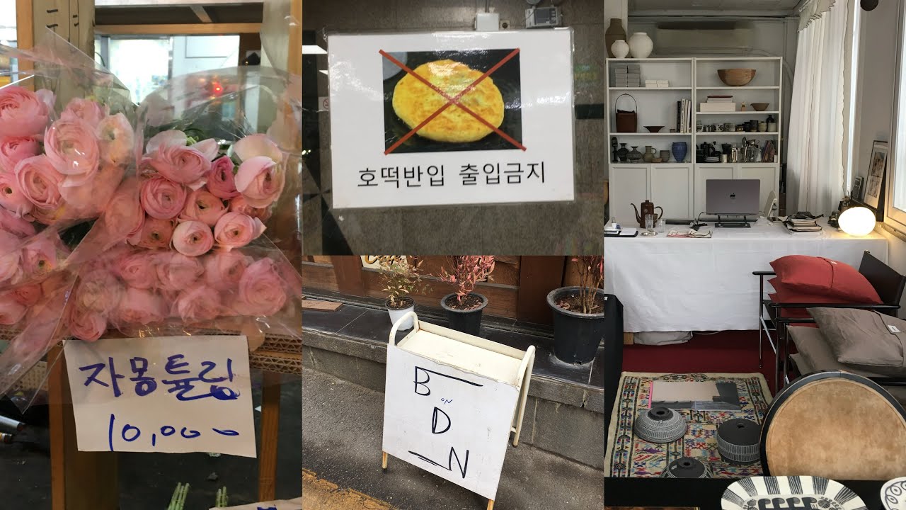 백수의 남대문시장 탐방 :: 꽃시장/현대기물박그릇/스튜디오테이스티/카페비온디앤/피팅모델면접