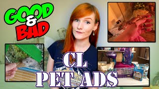 Leopard Gecko Edition! | Craigslist Pet Ads | Munchie's Place