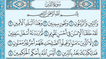 سورة التين مكتوبة    ماهر المعيق