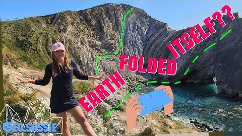 Fossil Forest & Bendy Rocks: Jurassic Coast