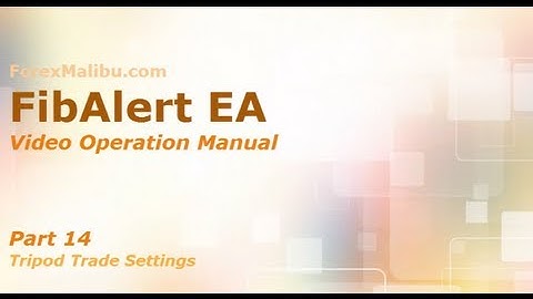 FibAlert Video Training Manual part 14 - Tripod Trade Settings