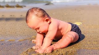 Funny Babies On The Beach - Funny Fails Video