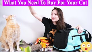 Everything You Need for Your Cat | 10 Cat Essentials for New Guardians