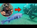 FIRST UNDERWATER INTRO IN KERALA | കടലിനടിയിൽ തങ്കമ്മയെ കണ്ടപ്പോൾ😳