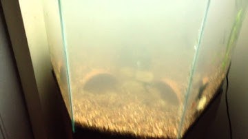 UPDATE #4: tank up and cloudy - OCT-12