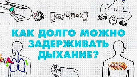 Научпок - Как долго можно задерживать дыхание?