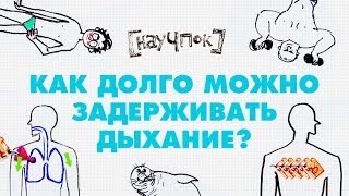 Научпок - Как долго можно задерживать дыхание?(Смотрите Научпок на Карамбе! http://carambatv.ru/cartoons/science., 2014-05-16T06:32:25.000Z)