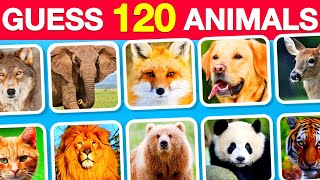 Guess 120 Animals in 3 Seconds | Easy, Medium, Hard, Impossible