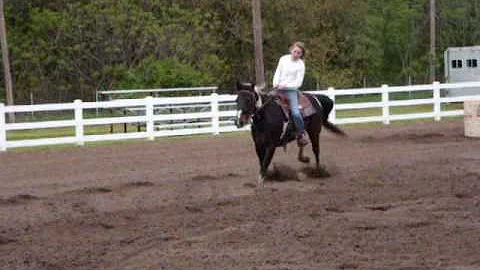 Summer Barrel Races in Hamlett Indiana