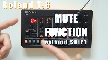 How to enable the "Mute Function" on the Roland T-8 Aira Compact