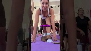 ESTA CHICA HIZO YOGA CON PERRITOS!! 😯