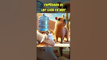 Capybara đi lạc giữa sa mạc 🥺🥺🥺Vân Thư channel