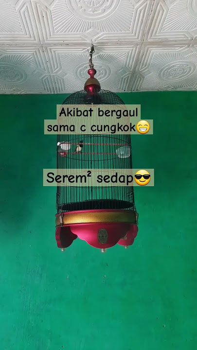 Sogon isian kunti serem😱 #sogon #sogonmania #masteranmuraibatu #kacer #fyp #reels #tranding