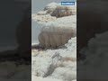 Discover The Dead Sea In Israel The Lowest Point On Earth 1 400 Feet Below Sea Level Discover The Dead Sea In Israel The Lowest Point On Earth 1 400 Feet Below Sea Level
