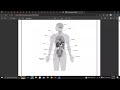 Reproductive system ( Reproduction in humans )