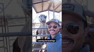Learning the Aussie accent 🐪🇦🇺