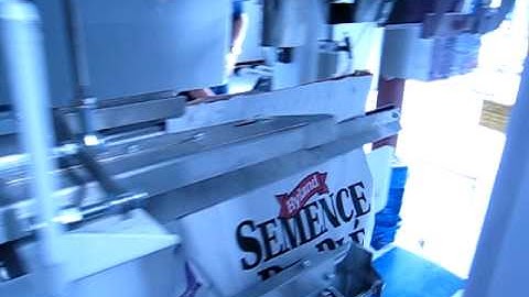 Pacepacker T22 & TBC Gusset reforming paper bags - Wise Packaging Equipment Ltd