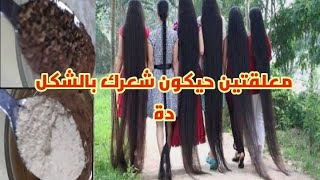 وصفه القرنفل والجنزبيل لتطويل الشعر بطريقه مبهرة