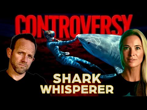 The Most Controversial Details Of Shark Bae's Leak