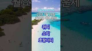 2025년 7월 28일 띠별 운세 | #쥐띠 #소띠 #호랑이띠  #2025년운세 #띠별운세 #오늘의운세 #금…