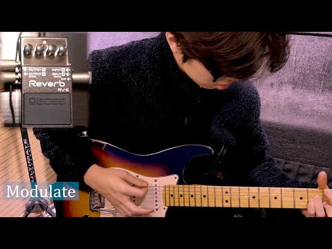 Boss RV 6 <strong>Reverb</strong> Demo by Yohan Kim