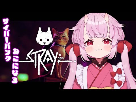 【 stray 】　にゃん 　#01【 羽柴紅魅/Vtuber 】