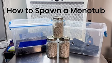Beginner Guide - Modified Monotub Setup for MAXIMUM Mushroom Yield