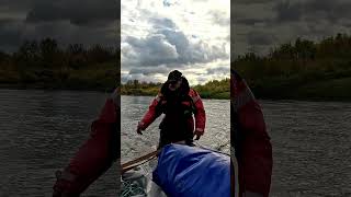 Сели на мель #на мели #на реке #топляк