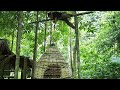 SAFE HOUSE, MADE OF BAMBOO, EFFECTIVE OR NOT?, Wilderness Alone, ep 191