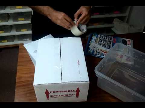 How to ship your reptiles! - YouTube