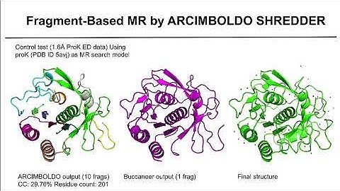 CCP4 Study Weekend 2019 - Micro electron Diffraction of Protein Crystals - Jennifer Miao