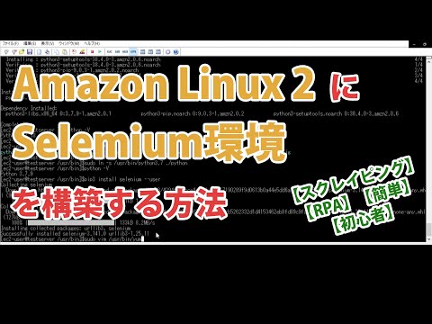 【作業10分】Amazon Linux 2にSelenium環境を構築する方法【AWS】