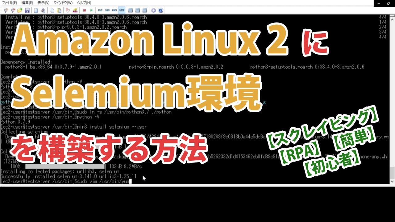 Amazon Linux 2にselenium環境を構築 スクレイピング Rpa