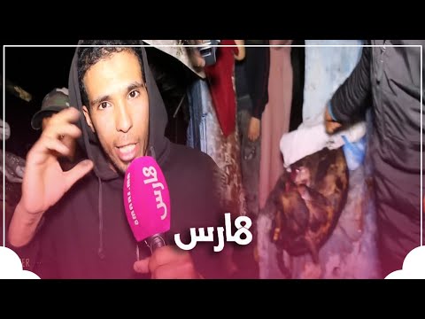 حر_يق ليلي مهول دوار بيه عين السبع يأتي على الاخضر واليابس
