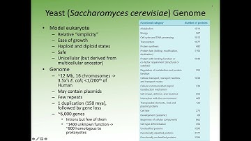 Comparative Genomics Lecture 7: Genomes of Eukaryotes