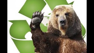 Indie GAIMZ:Envirobear - BEST GAIM EVERR!!!! (+download link) screenshot 1