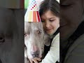 Seu cachorro protege seu bebê como se fosse o seu próprio filhote.