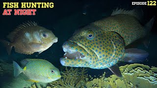 NIGHT SPEARFISHING EPISODE 122 | FISH HUNTING AT NIGHT