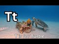 ABC Learning Adventure | Sing Along and Learn the ABCs